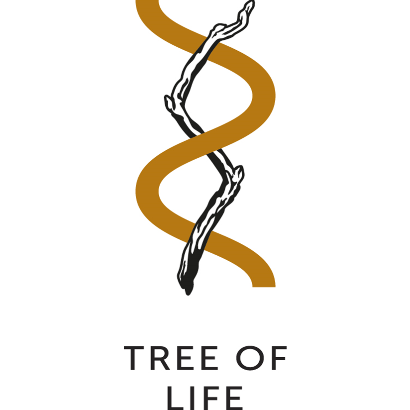 Парфюмерия бренда Tree Of Life